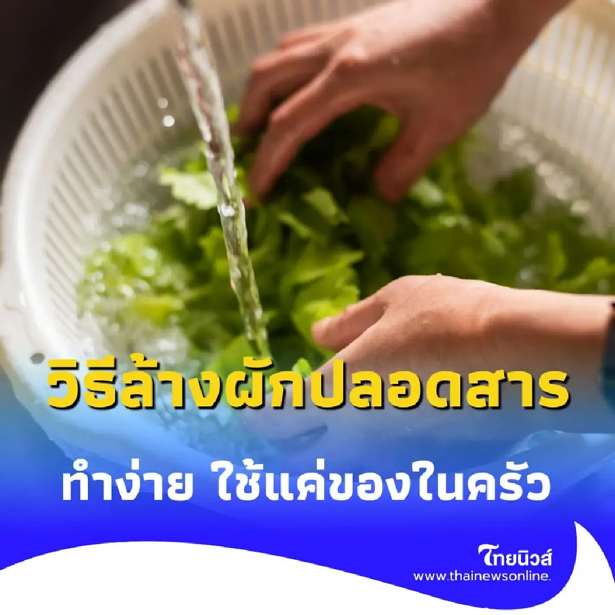 วิธีล้างผักแบบปลอดสารใน 3 นาที แม่บ้านแนะเอง ทำง่าย ใช้ของในครัว