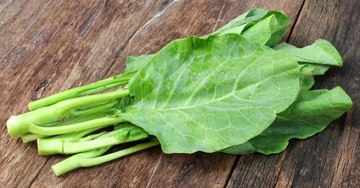 4 ผักบำรุงตับ อาหารดีท็อกซ์จากธรรมชาติที่คุณควรมีติดบ้าน