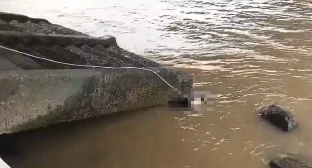 สุดสลด ร่างหญิงสูงวัยลอยกลางแม่น้ำเจ้าพระยา เร่งตามหาญาติ