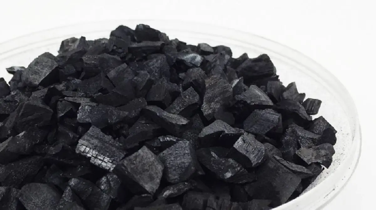 บอกลารถเหม็น! 5 วิธีแก้กลิ่นอับในรถยนต์ทำเองได้ง่ายๆ