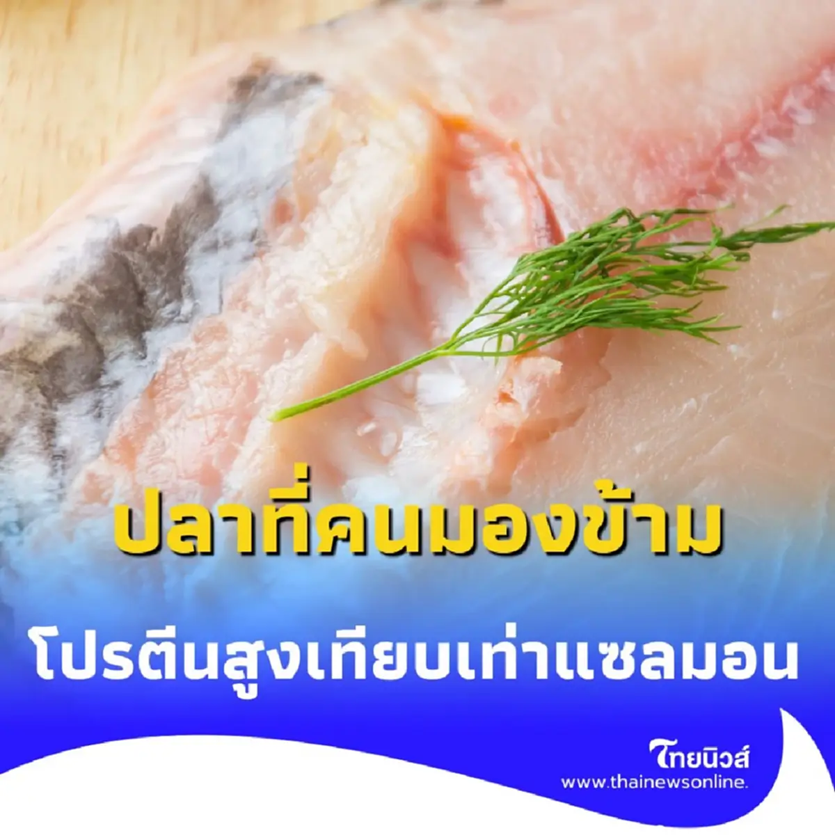 ปลาที่คนมองข้าม มีประโยชน์เกินคาด โปรตีนสูงเทียบเท่าแซลมอน