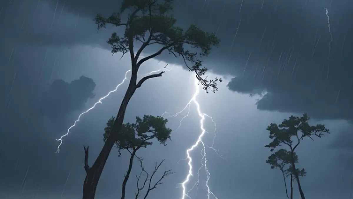 เตือนภัย ฉ.12 ไต้ฝุ่นดานัส ขึ้นฝั่ง กลายเป็นพายุโซนร้อนกำลังแรง