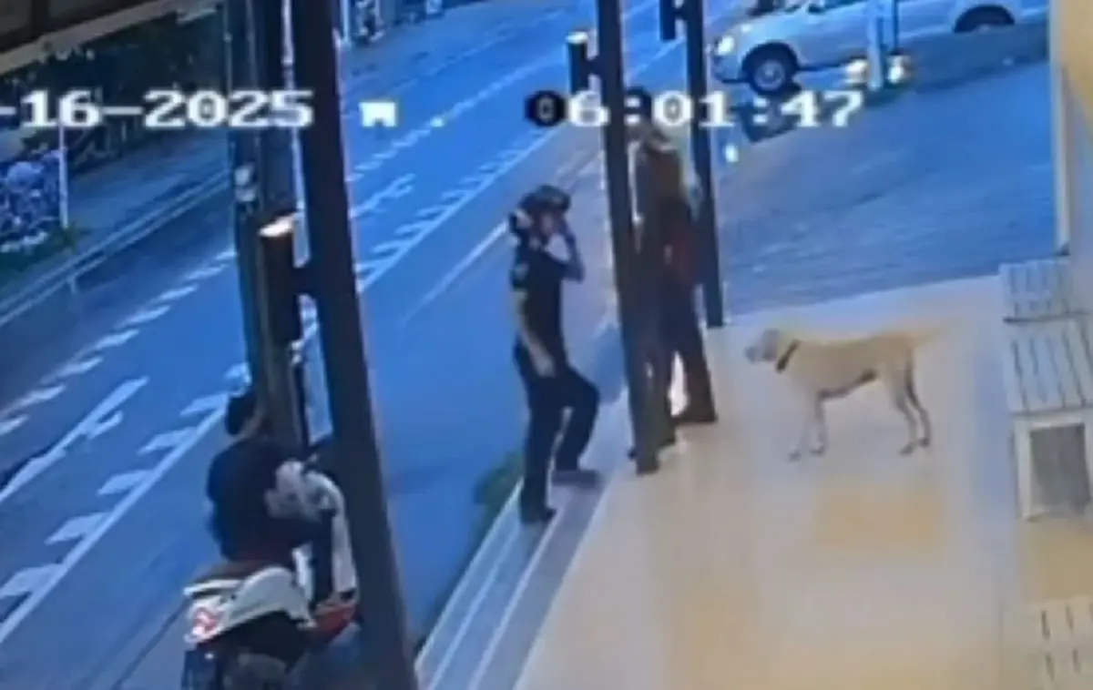 ไม่รอด 2 โจ๋กร่างควงปืนไล่จี้นักเรียน วันเดียว 3 คน ล่าสุดเกมแล้ว