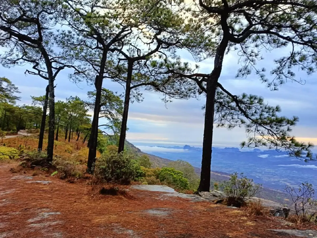 เช็กเลย ภูกระดึง ปรับเปลี่ยนเวลาขึ้น-ลง ใหม่ เริ่ม 1 ต.ค.นี้