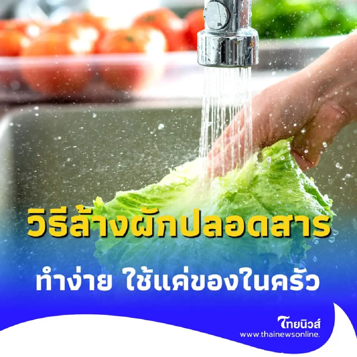 วิธีล้างผักแบบปลอดสารใน 3 นาที แม่บ้านแนะเอง ทำง่าย ใช้ของในครัว
