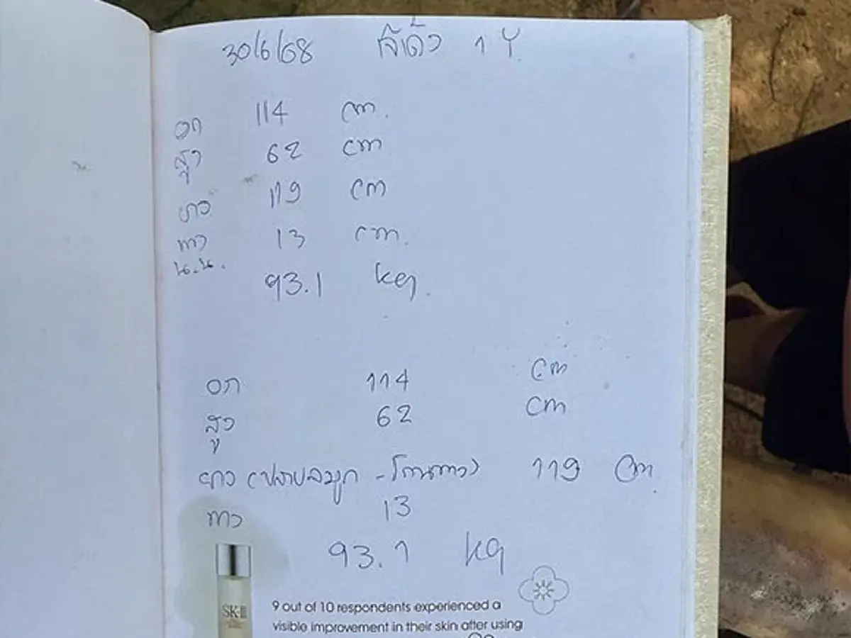 เลขเด็ดหมูเด้ง เขาเขียว ฉลองครบรอบวันเกิด 1 ปี ลุ้นหวยงวด 1 ก.ค. 68
