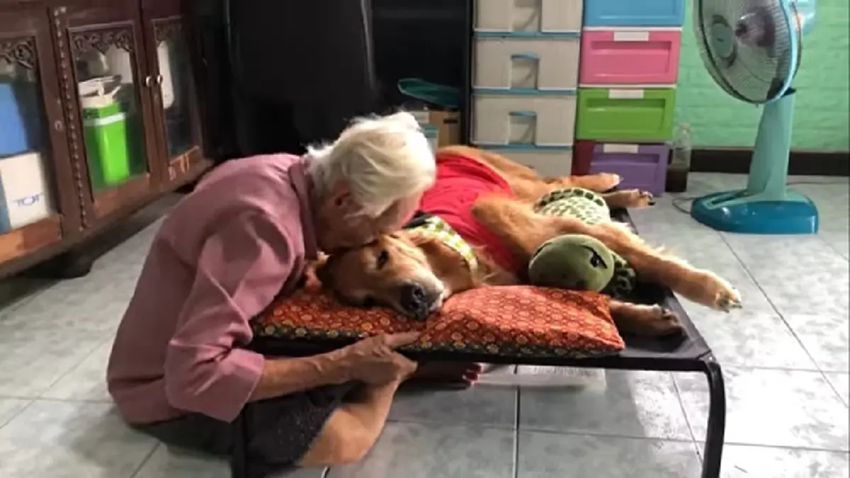 \"คุณยาย\" เพจลีโอไอ้หนูของยาย เสียชีวิตหลังแอดมิทไม่ถึง 24 ชม.