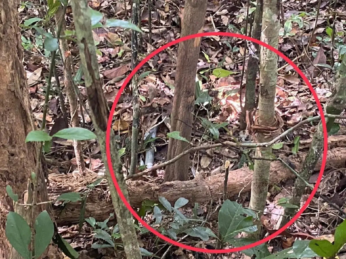 อันตรายมาก จนท.พิทักษ์ป่าภูเวียง ถูกจั่นห้าวยิงขา ขณะลาดตระเวน