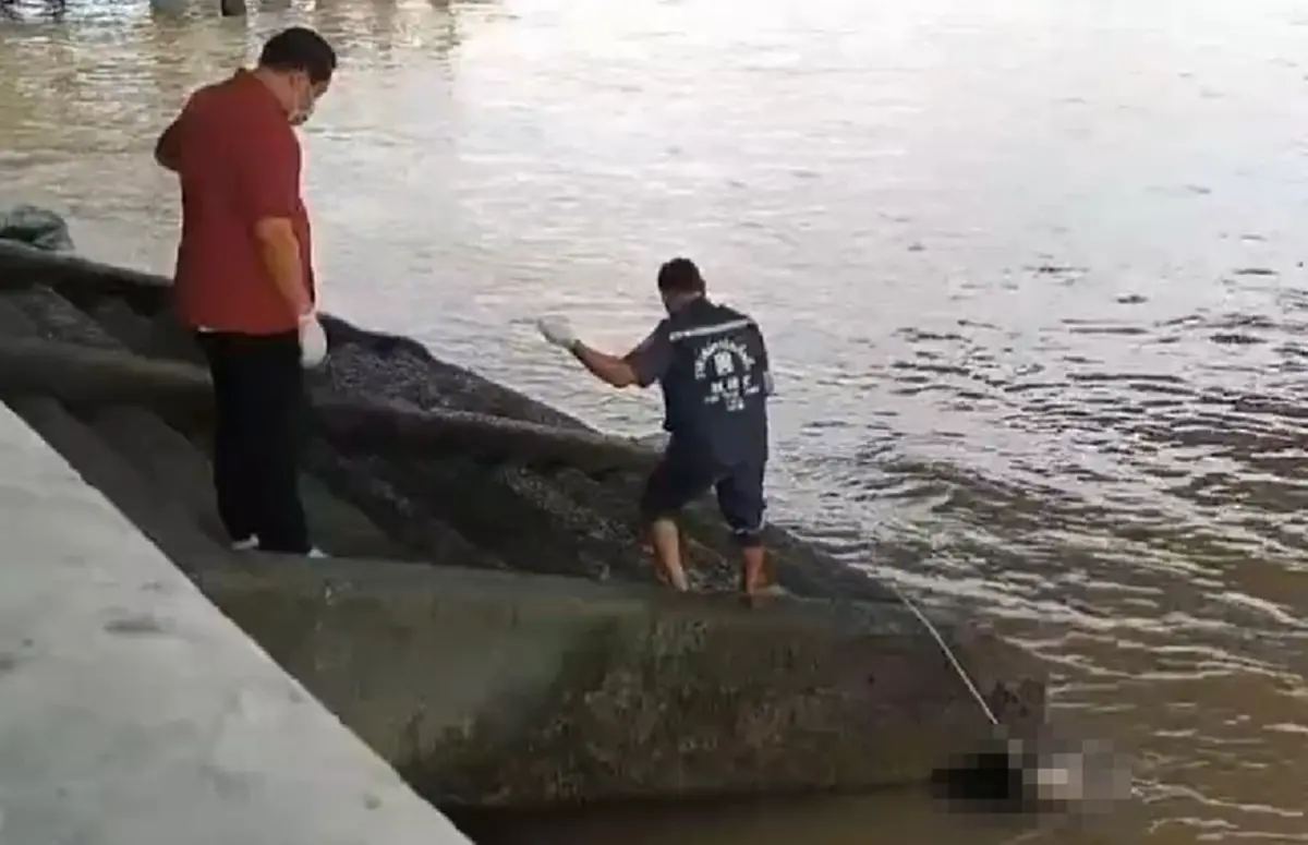 สุดสลด ร่างหญิงสูงวัยลอยกลางแม่น้ำเจ้าพระยา เร่งตามหาญาติ