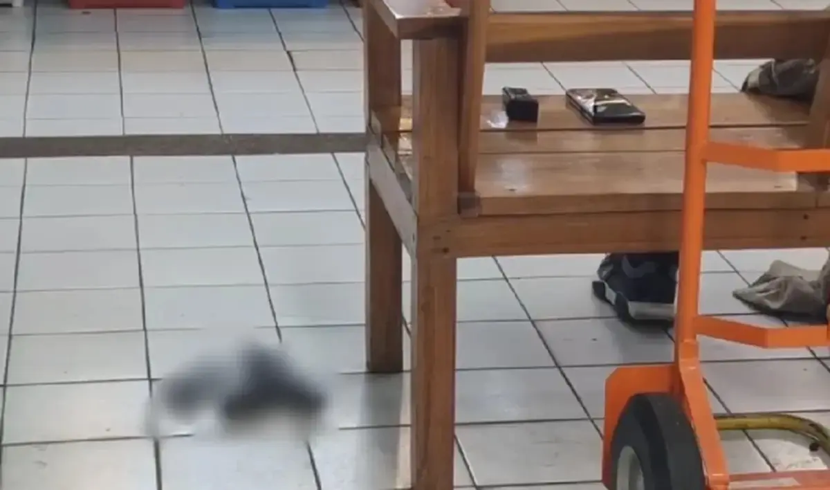 เผยผลชันสูตร เหยื่อกราดยิงตลาด อ.ต.ก. ถูกยิงจุดสำคัญเกิน 3-4 นัด