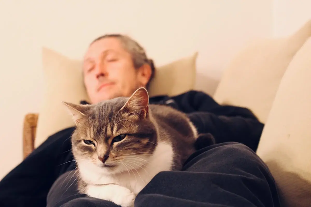 ไขเหตุผลลับ ทำไมแมวชอบนอนทับเราตอนกลางคืน สัญลักษณ์ของความรัก!