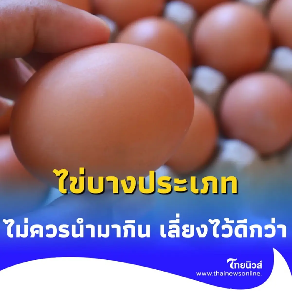 ไข่ต้องห้ามมี 6 ชนิด ที่ไม่ควรนำมากิน เลี่ยงไว้จะดีกว่า