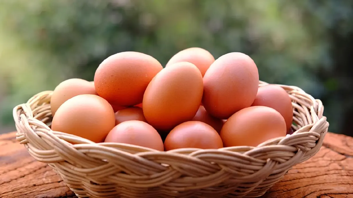 รู้ก่อนทิ้ง ไข่ไก่เก็บได้นานแค่ไหน? พร้อมวิธีสังเกตไข่เสีย