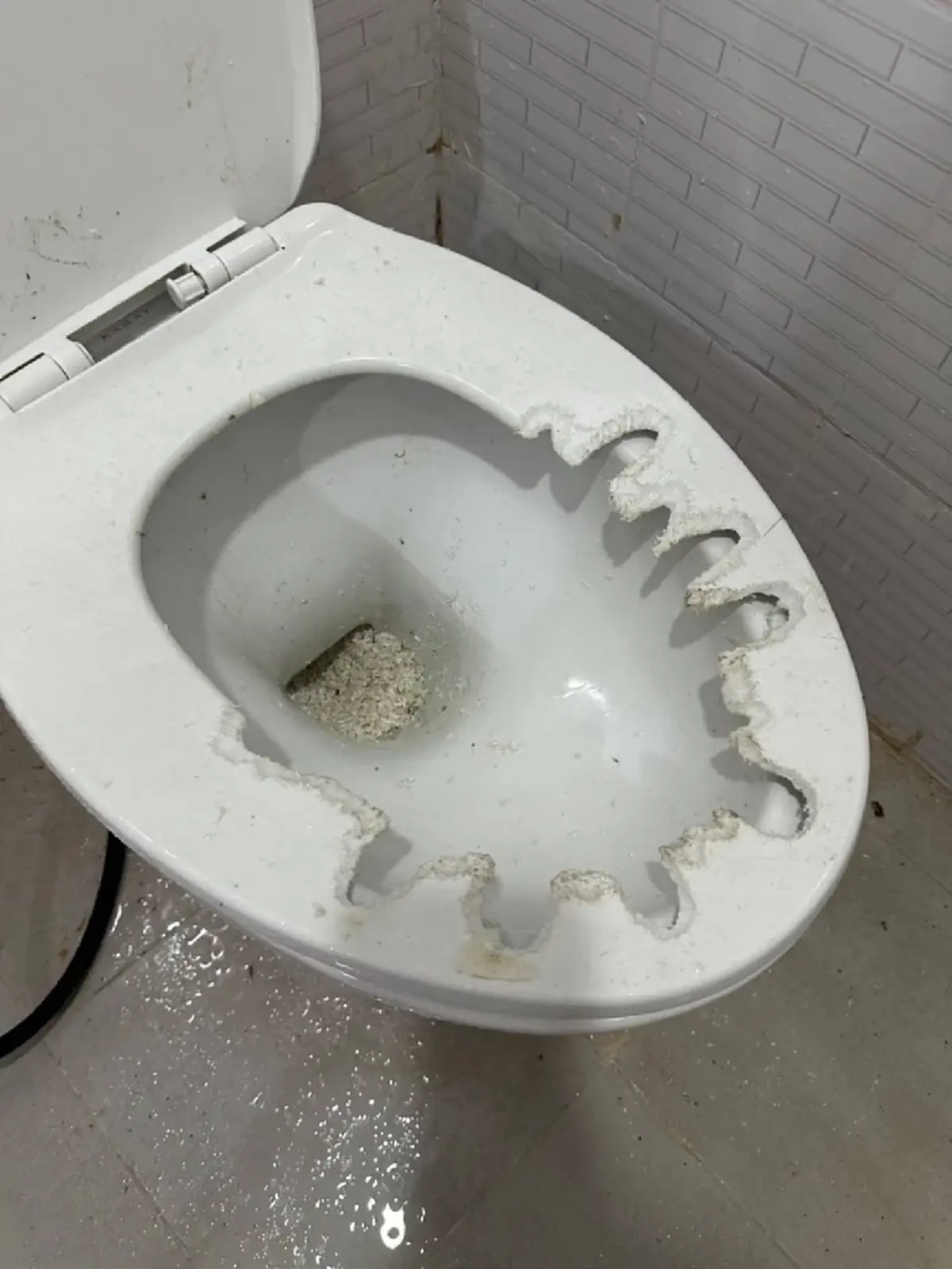 ขนหัวลุก ไม่ได้ใช้ห้องน้ำนาน เปิดมาเจอเต็ม ๆ ก่อนรู้ตัวอะไรทำ