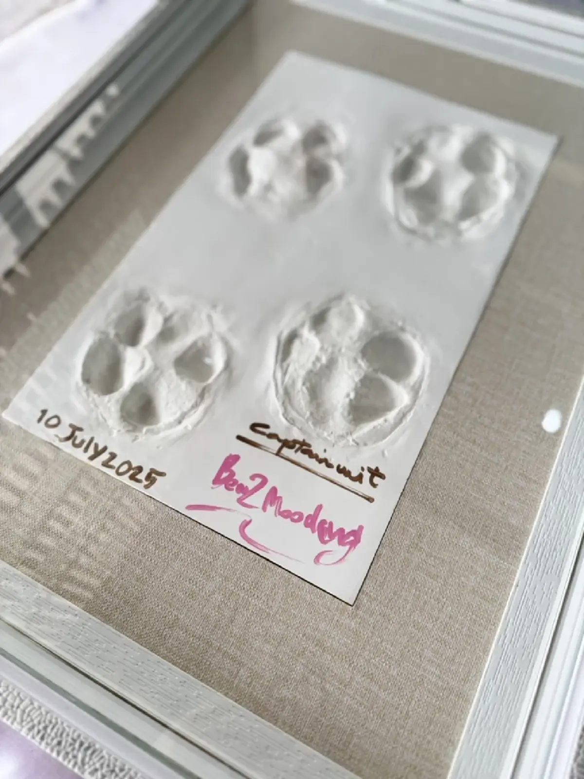 เปิดราคาล่าสุด ประมูล รอยเท้าหมูเด้ง บอกเลย ตอนนี้ไปไกลแล้ว 