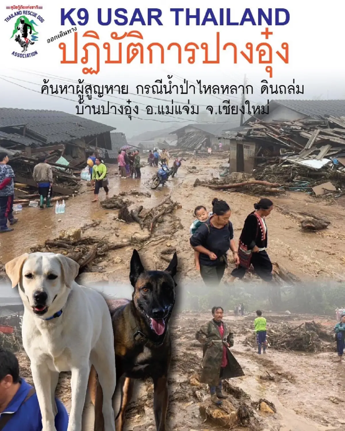 K9 มาแล้ว มุ่งหน้าสู่ภารกิจปางอุ๋ง พร้อมลุยทุกอุปสรรค 