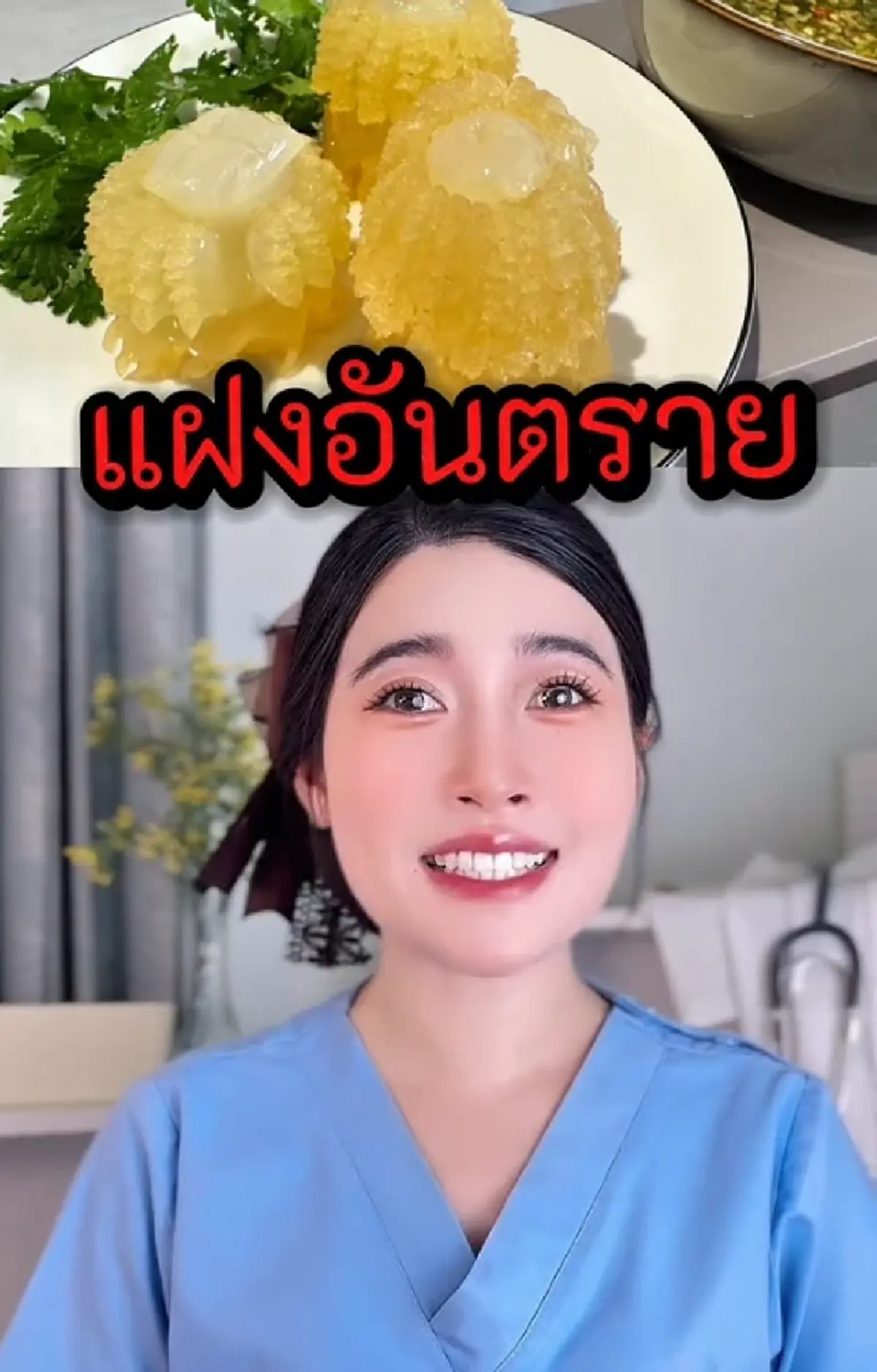 เตือน แมงกะพรุนหัวกระสุน เลี่ยงกินคู่ 4 น้ำยอดฮิต เสี่ยงอันตรายไม่รู้ตัว