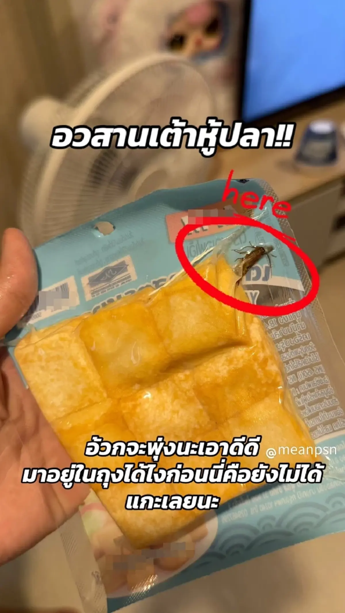 สาวอ้วกพุ่ง อวสาน เต้าหู้ปลา พลิกถุงมาเจอของแถมสุดสยอง