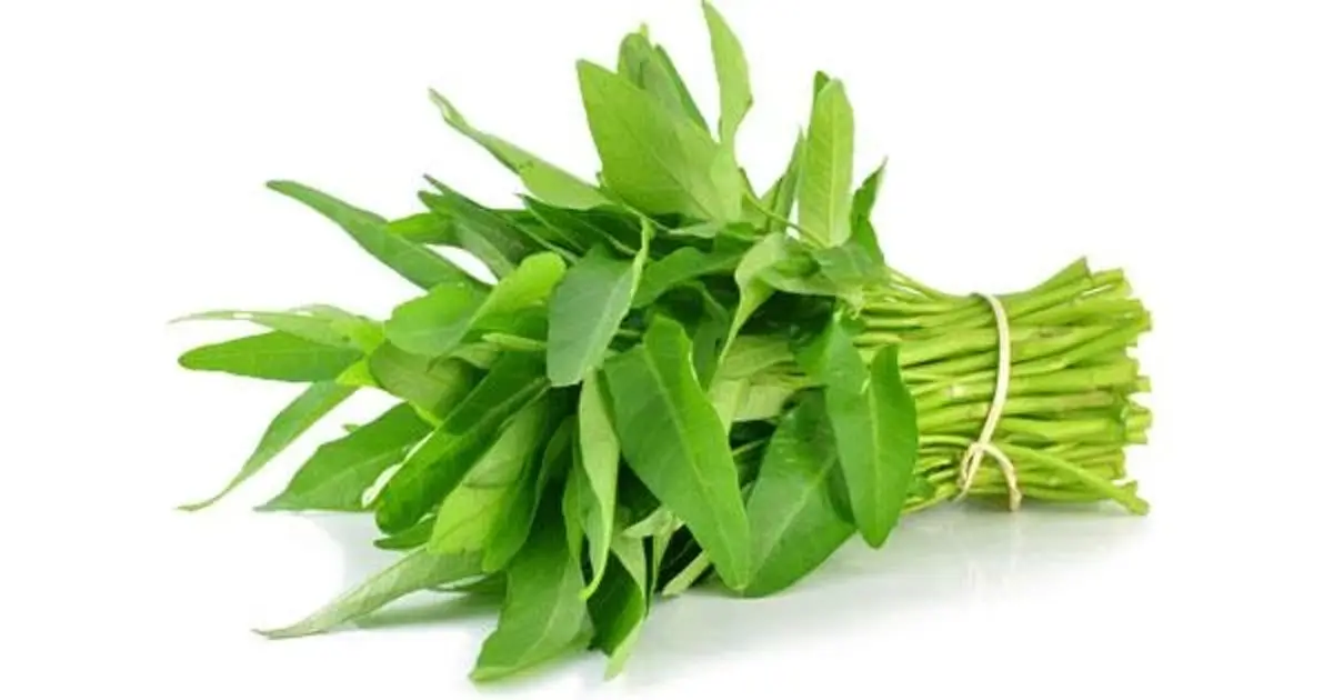 กินผักให้ถูก 5 ผักช่วยเรื่องขับถ่าย ปรับลำไส้ให้ทำงานดีขึ้น