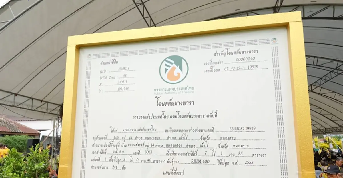 "โฉนดต้นยาง" เชื่อมยางพาราไทยสู่ตลาดโลก