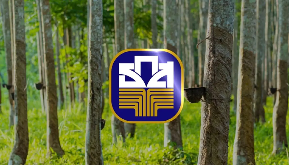 "โฉนดต้นยาง" ขอรับสินเชื่อจาก"สถาบันการเงิน"ได้จริง