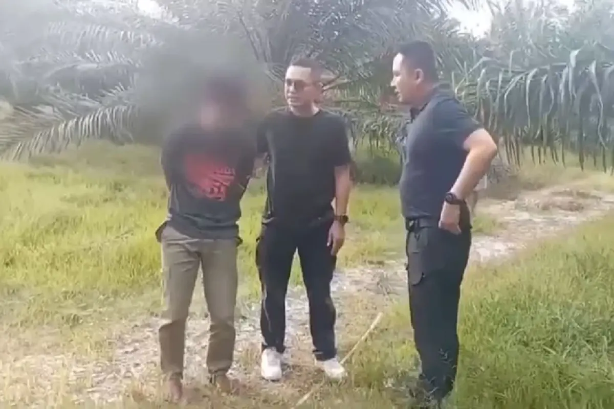 ล่ารถขนต่างด้าว โชเฟอร์โดดหนีทิ้งรถชนต้นไม้ เปิดมาเต็มคันรถ