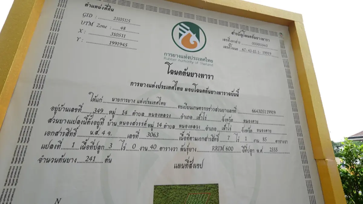 "โฉนดต้นยาง" เชื่อมยางพาราไทยสู่ตลาดโลก