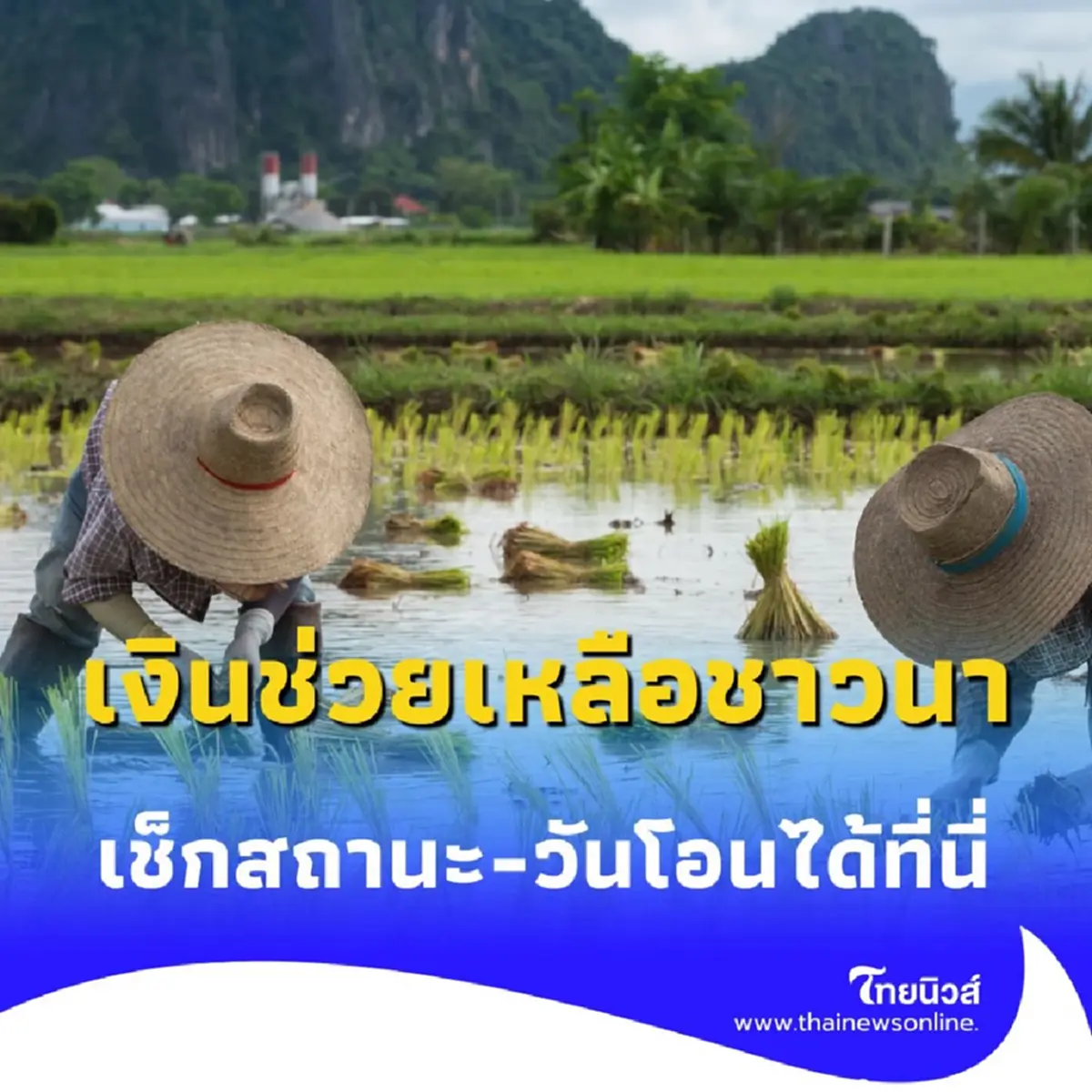 เปิดช่องทางรับ เงินช่วยเหลือชาวนาไร่ละ 1,000 บาท เช็กสถานะ-วันโอนได้ที่นี่