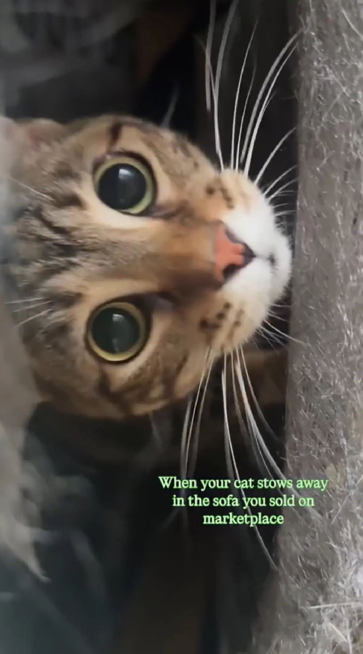 หญิงขายโซฟาออนไลน์ สุดท้ายลูกค้าโทรมาด่วน ตกใจมีของแถม