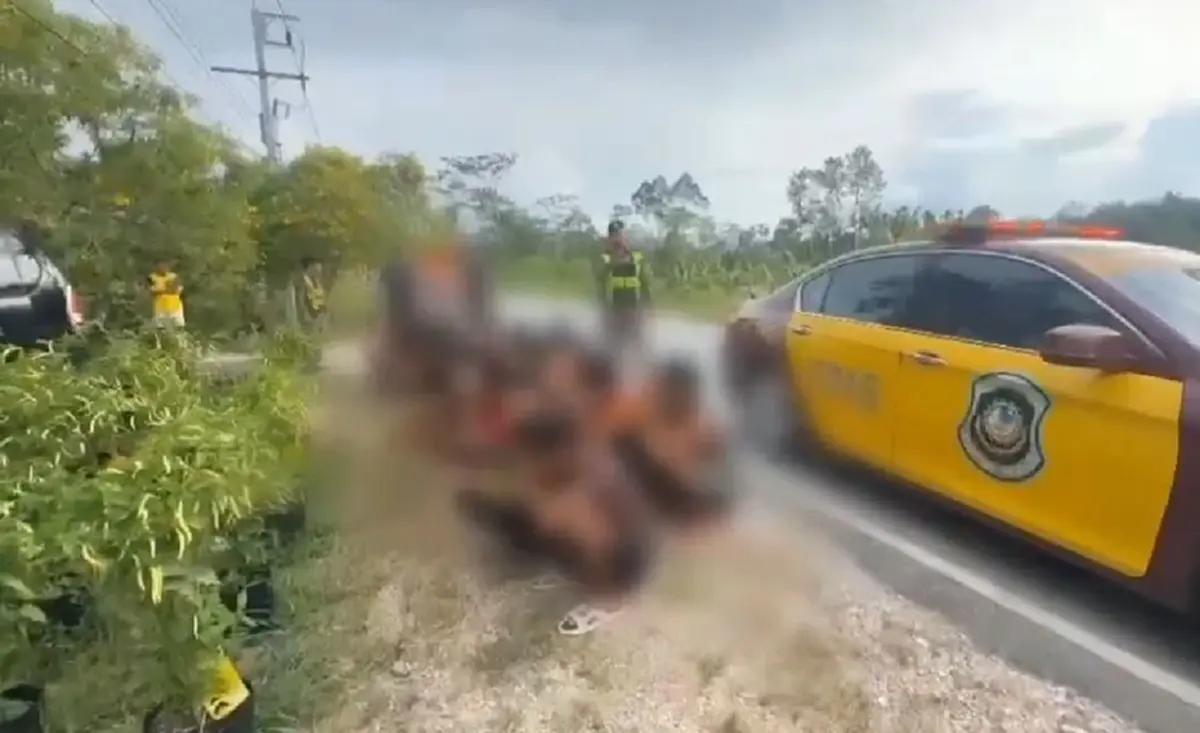 ล่ารถขนต่างด้าว โชเฟอร์โดดหนีทิ้งรถชนต้นไม้ เปิดมาเต็มคันรถ