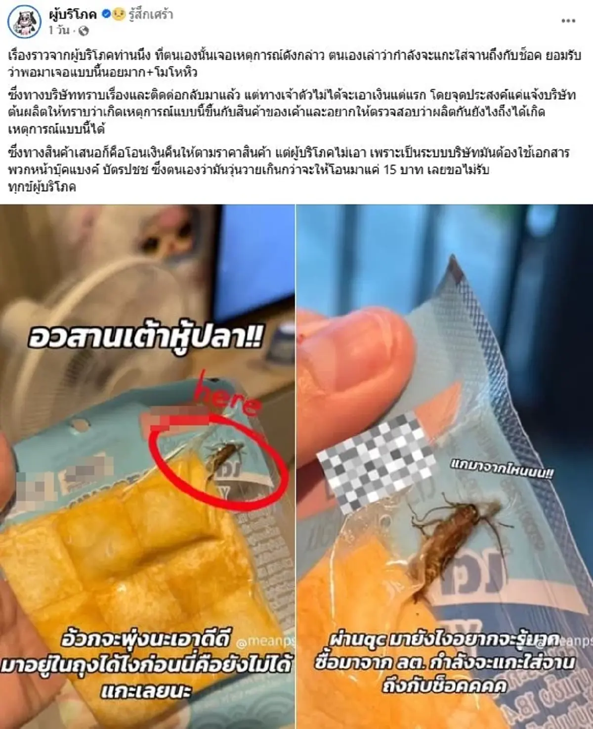 สาวอ้วกพุ่ง อวสาน เต้าหู้ปลา พลิกถุงมาเจอของแถมสุดสยอง