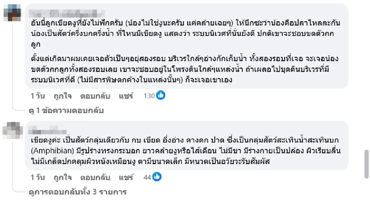 สาวเจอไข่ปริศนาไหลมากับน้ำ สงสัยคือตัวอะไร ชาวเน็ตช่วยเฉลยแล้ว