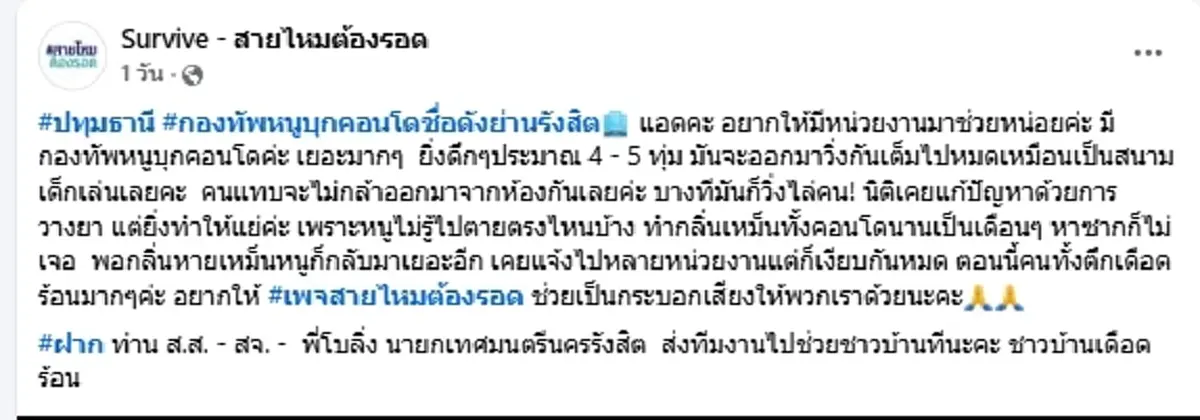 ผวากันทั้งคอนโด กองทัพหนูบุก เดือดร้อนหนักไม่กล้าออกจากห้อง