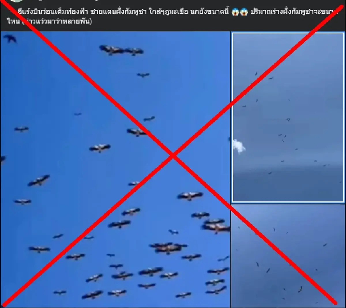 เปิดความจริง ฝูงแร้งบินว่อน กินซากทหารกัมพูชา ที่แท้ คลิปมั่ว 