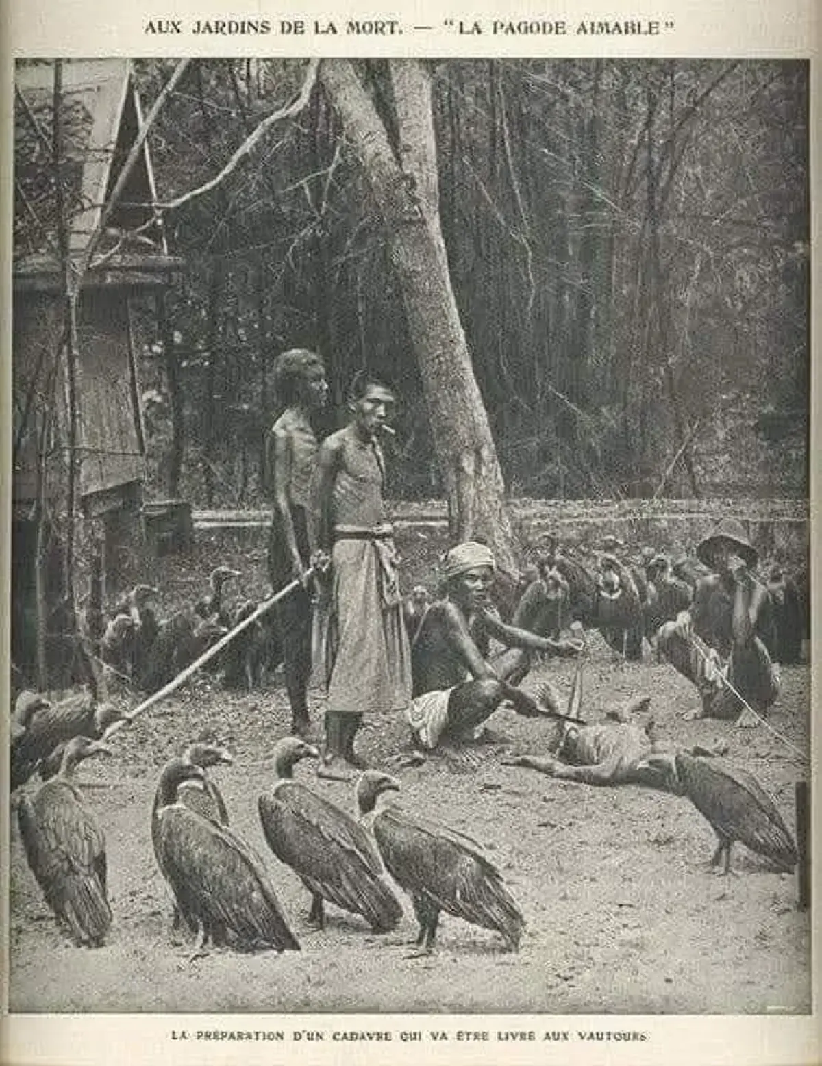 ย้อนดูภาพถ่ายแร้ง ที่วัดสระเกศสมัย ร.5 ที่หลายคนไม่เคยเห็น