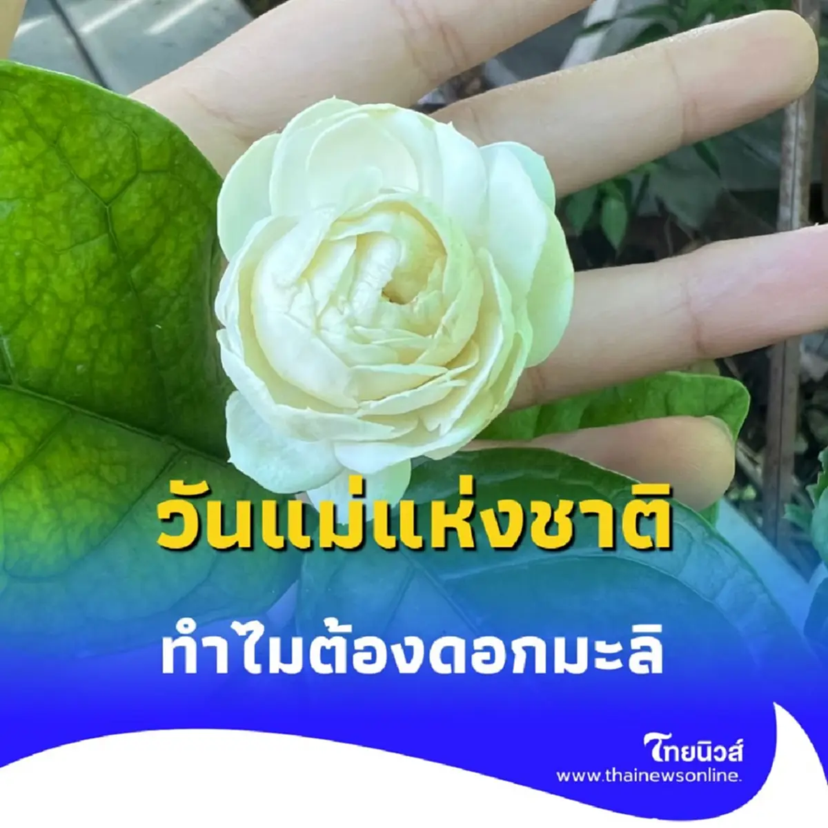 วันแม่แห่งชาติ 2568 ประวัติศาสตร์แห่งความรักและความสำคัญที่ไม่มีวันจางหาย