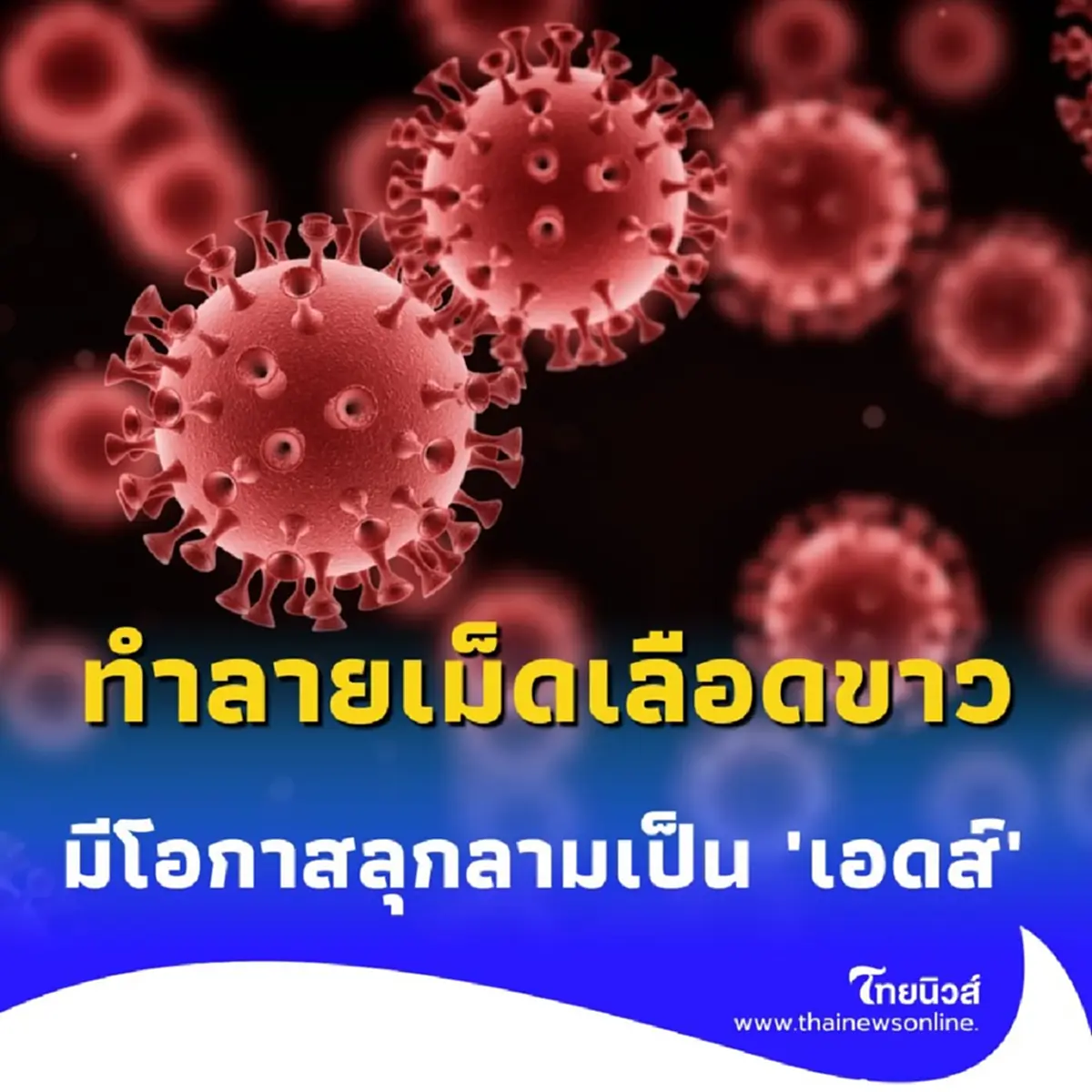 เชื้อ HIV ทำลายเม็ดเลือดขาว หากไม่รักษามีโอกาสลุกลามเป็น เอดส์