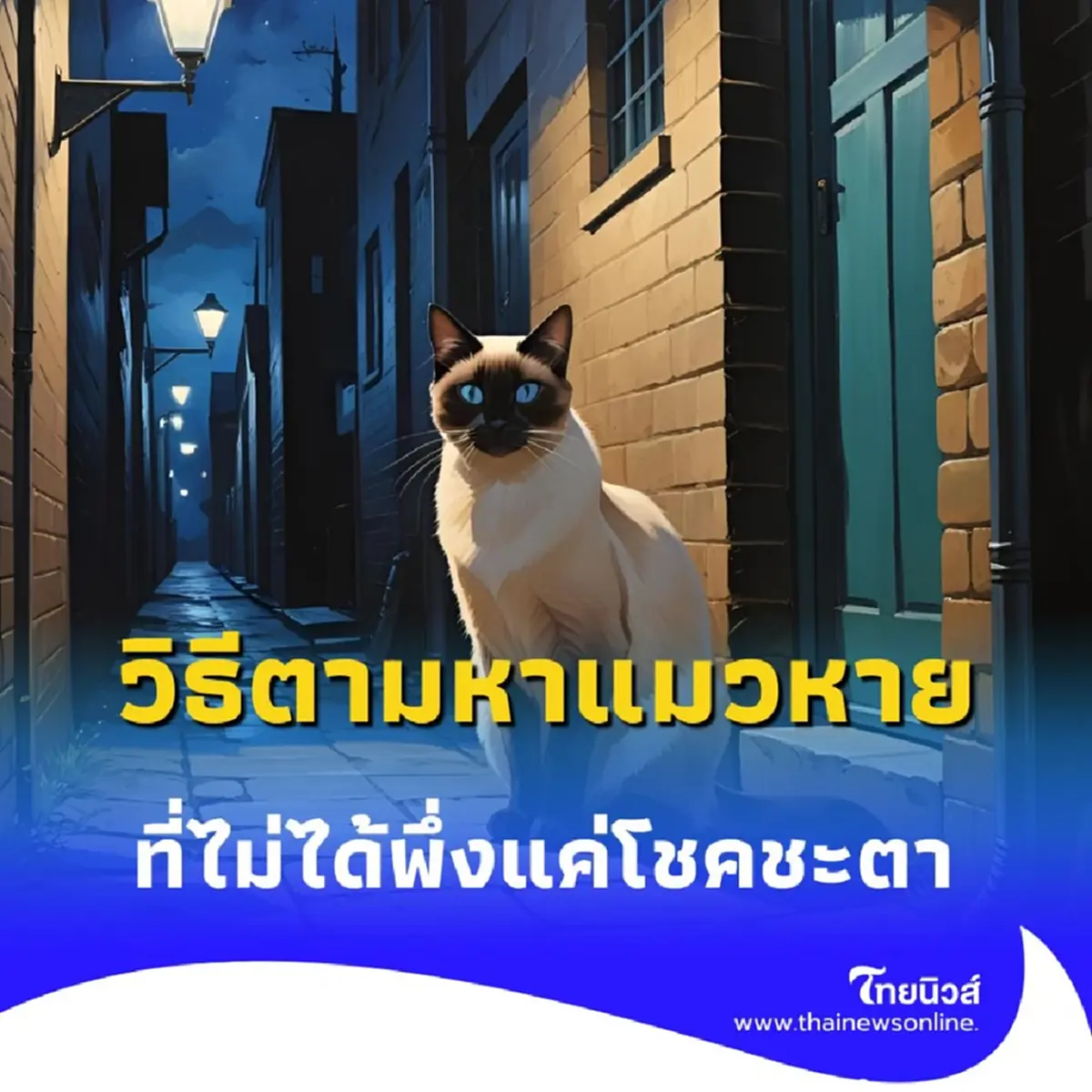 หยุดร้องไห้แล้วมาทำตาม 5 วิธีตามหาแมวที่หายไป ที่ไม่ได้พึ่งแค่โชคชะตา