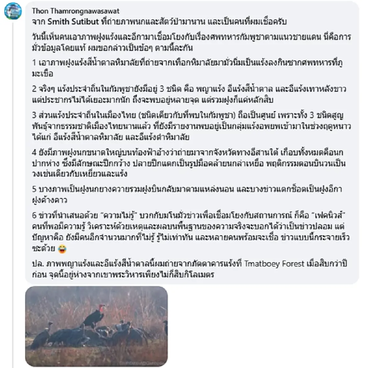 เบื้องลึก \"ฝูงแร้ง\" บินว่อนเหนือชายแดน จุดศพทหารเขมรเสียชีวิต