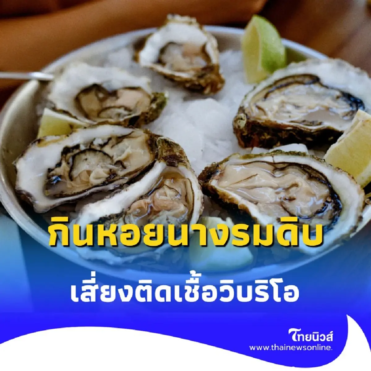 ระวัง วิบริโอ แบคทีเรียร้ายใน หอยนางรมดิบ ที่คร่าชีวิตคนได้ในไม่กี่ชั่วโมง