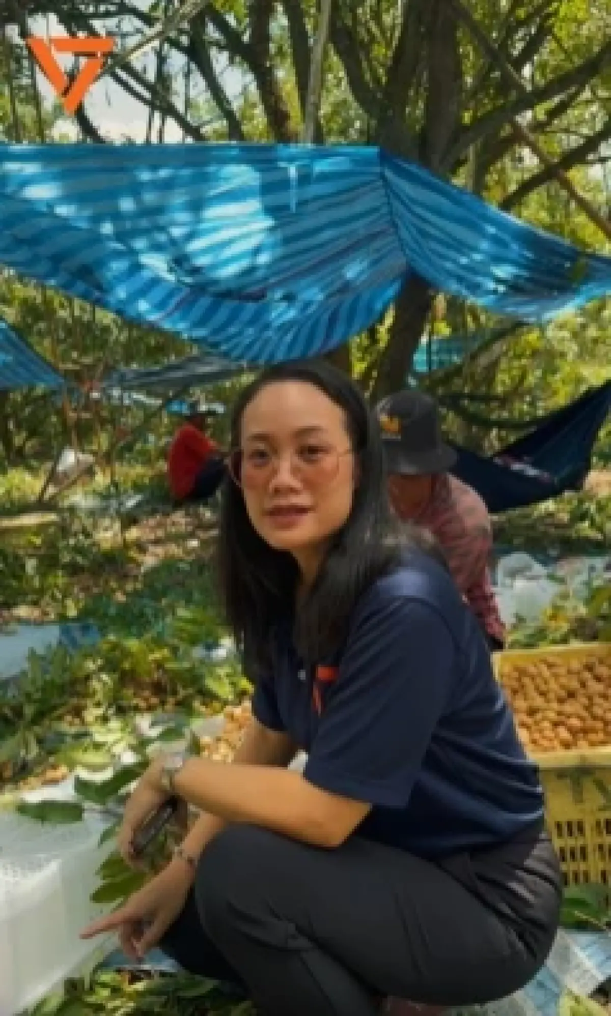 ค่าจ้างไม่ธรรมดา สวนลำไยจันทบุรี รับ 3 หมื่นคน แทนแรงงานกัมพูชา