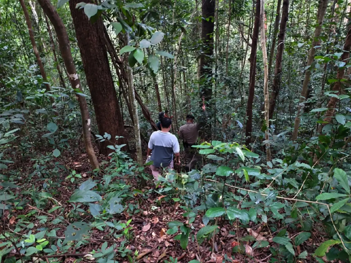 รู้แล้ว ตัวตนร่างปริศนาในป่าดอยสุเทพ คือหนุ่มกทม. ที่หายไป