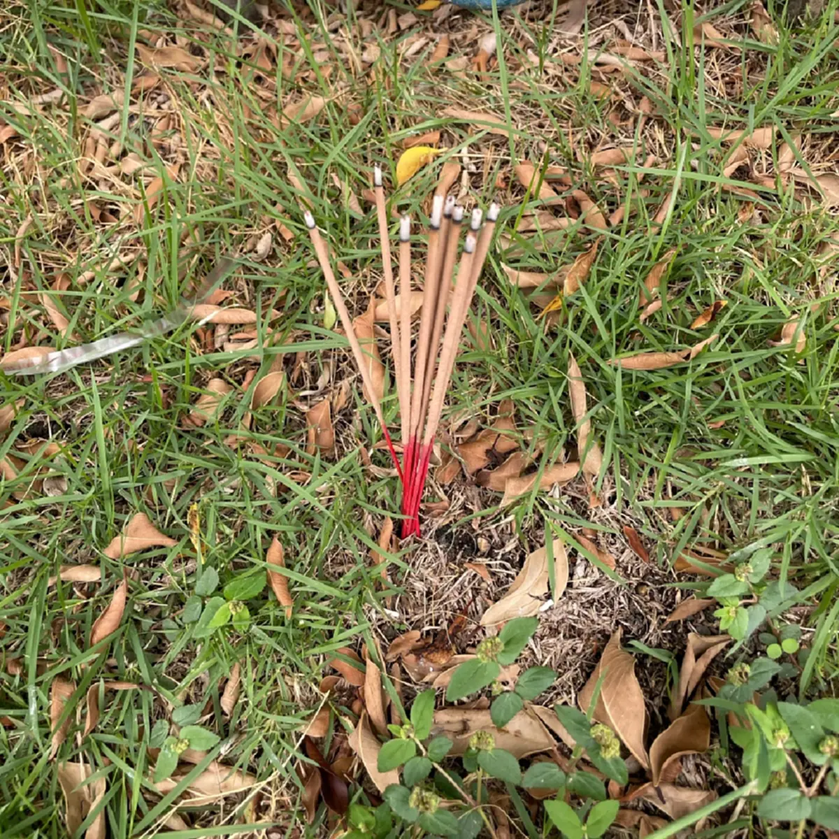 หนุ่มจุดธูป หวังสิ่งศักดิ์สิทธิ์ช่วย แมวสุดที่รักหายออกจากบ้าน