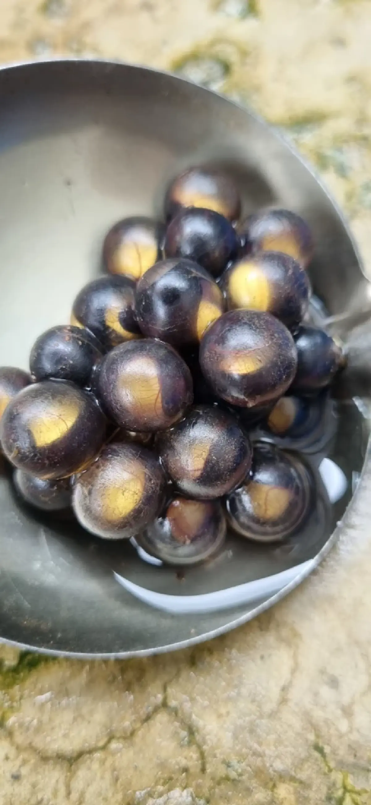 สาวเจอไข่ปริศนาไหลมากับน้ำ สงสัยคือตัวอะไร ชาวเน็ตช่วยเฉลยแล้ว