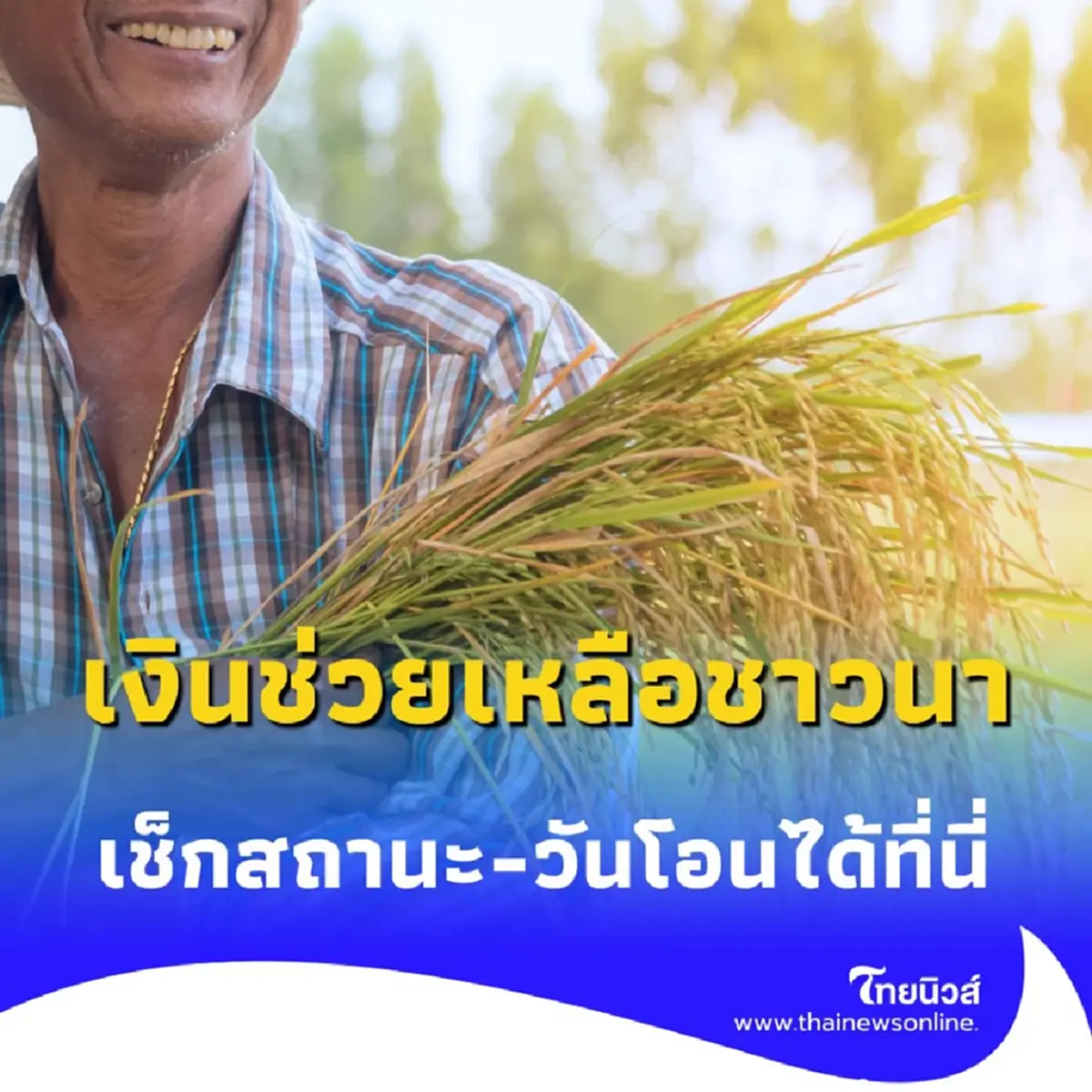 เปิดช่องทางรับ เงินช่วยเหลือชาวนาไร่ละ 1,000 บาท เช็กสถานะ-วันโอนได้ที่นี่