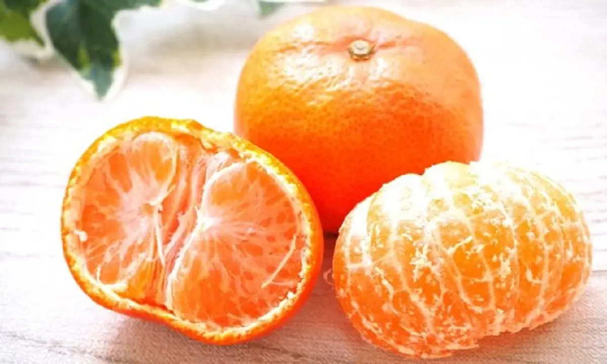 4 อาหารเพิ่มเม็ดเลือดขาว เสริมภูมิคุ้มกันให้ร่างกาย แข็งแรงห่างไกลโรค