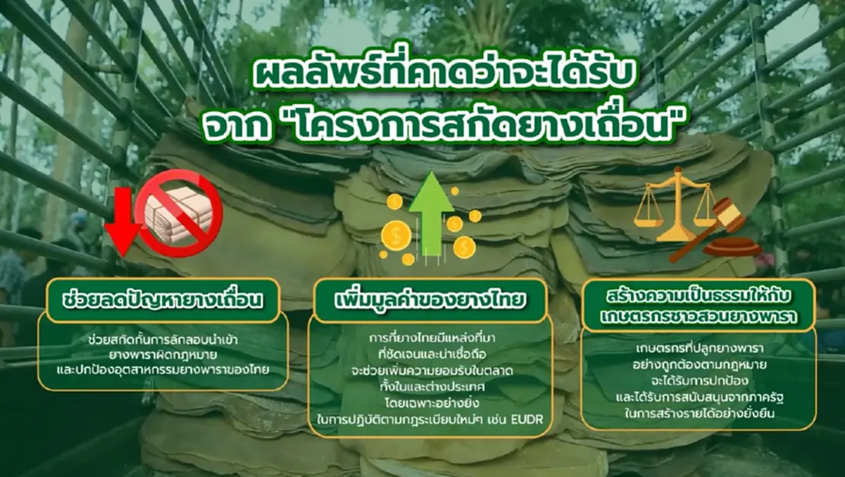 "โฉนดต้นยาง" เครื่องมือปราบ ยางเถื่อน ช่วยเกษตรไทย