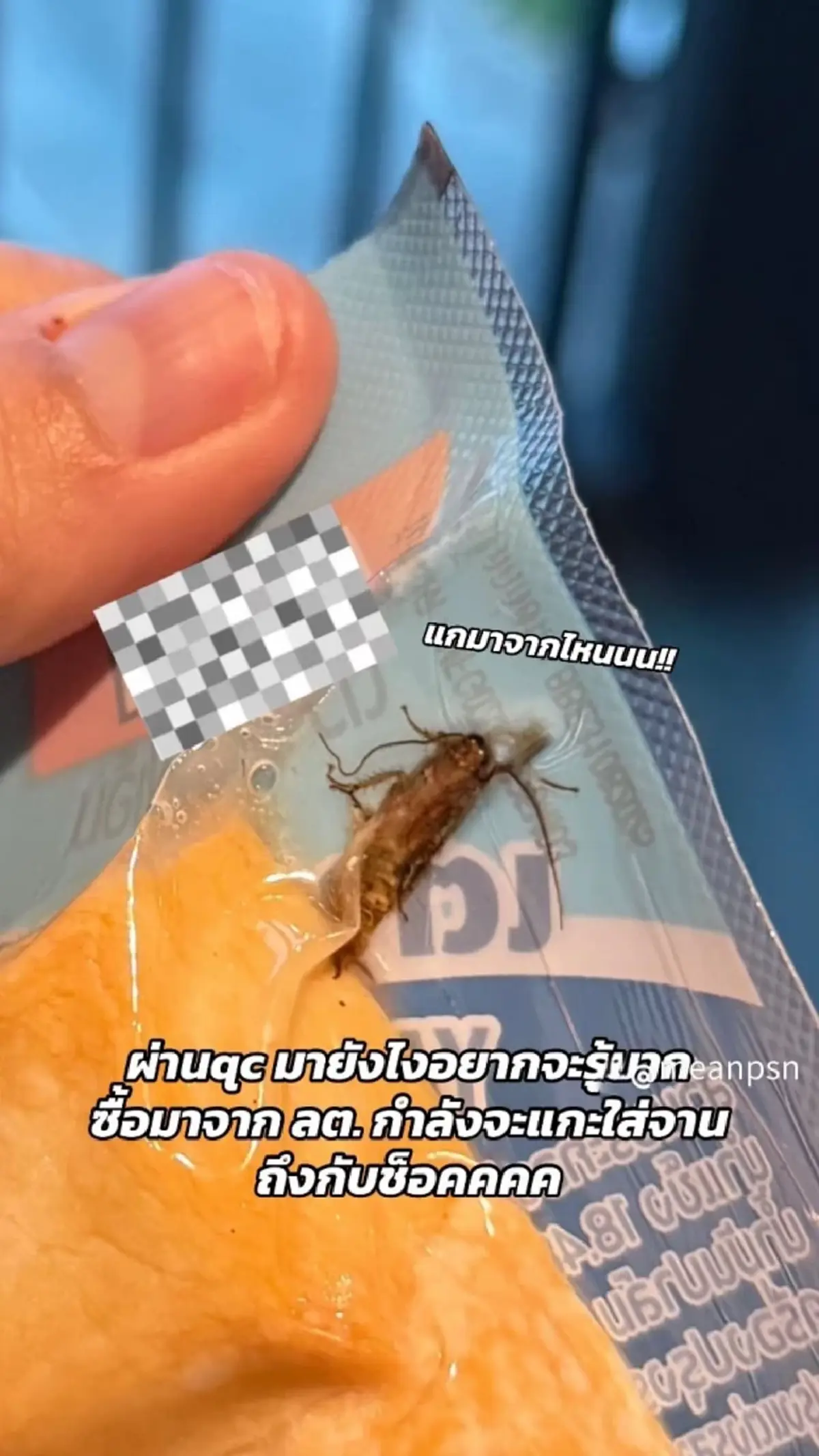 สาวอ้วกพุ่ง อวสาน เต้าหู้ปลา พลิกถุงมาเจอของแถมสุดสยอง