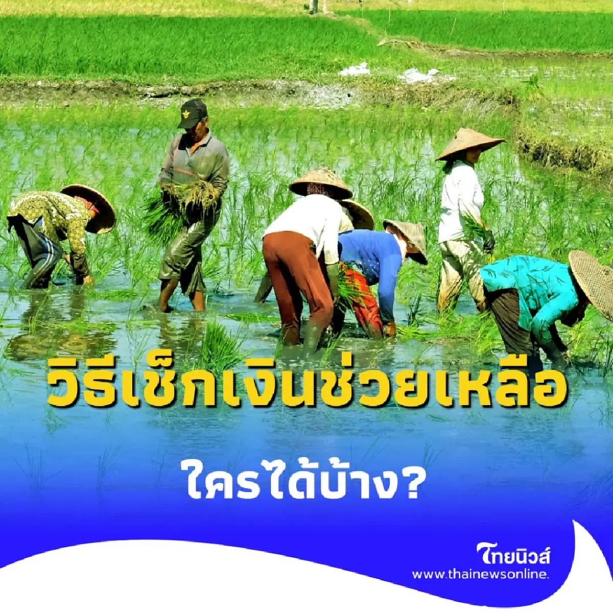 เปิดวิธีเช็กเงินช่วยเหลือชาวนา 1,000 บาทต่อไร่ ใครได้บ้าง เช็กสถานะและเงินเข้าวันไหน