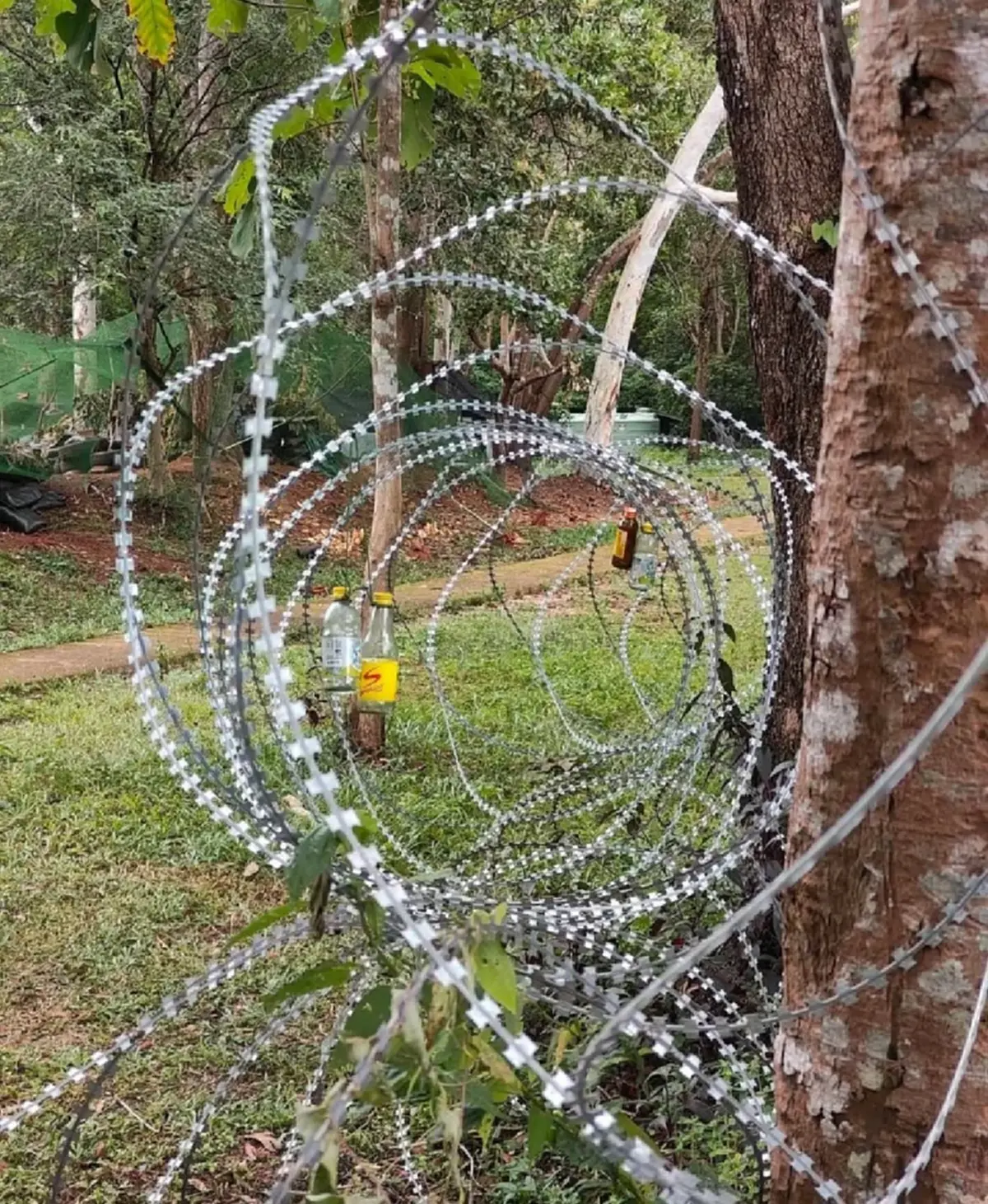 ทรัมป์เฉลยเอง ยอดตัวเลขทหารเขมรที่เสียชีวิตที่แท้จริง